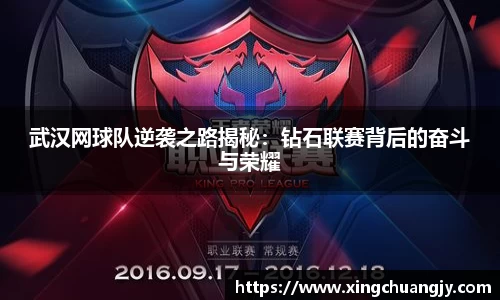 武汉网球队逆袭之路揭秘：钻石联赛背后的奋斗与荣耀